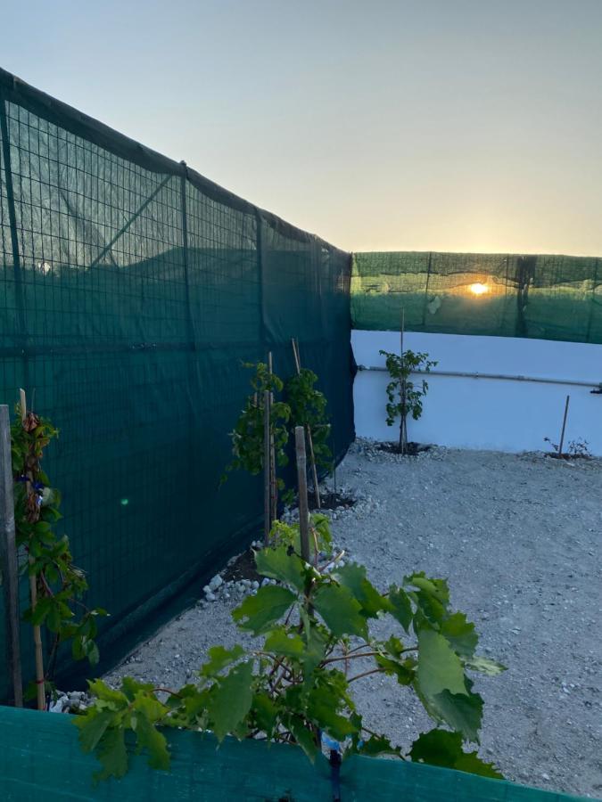 Amato Villa Mandrakia Dış mekan fotoğraf
