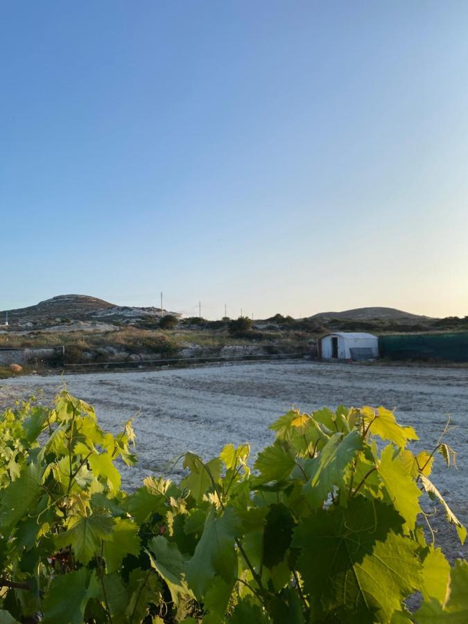 Amato Villa Mandrakia Dış mekan fotoğraf