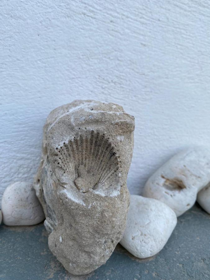 Amato Villa Mandrakia Dış mekan fotoğraf