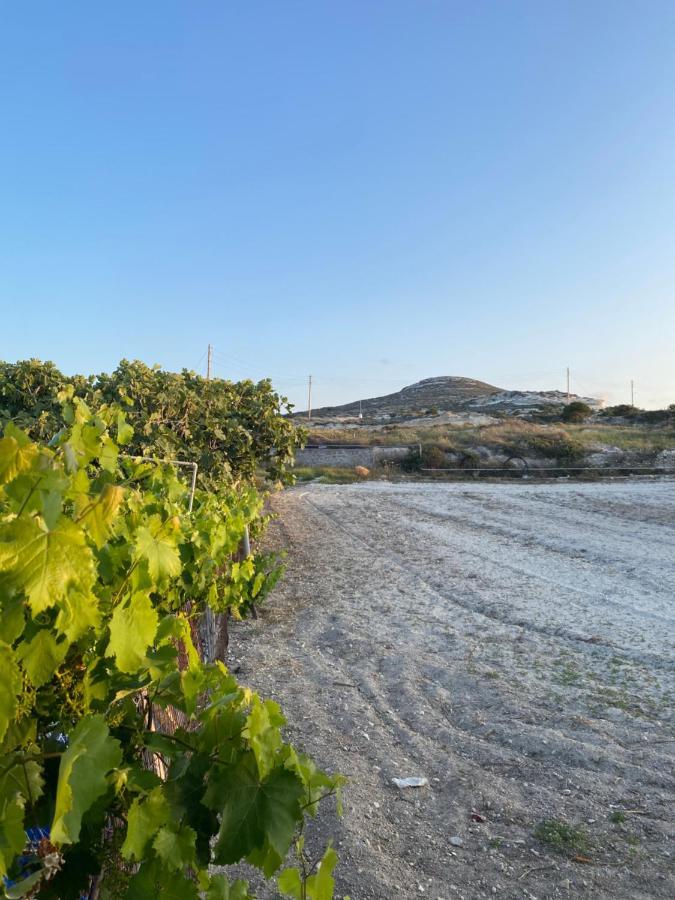 Amato Villa Mandrakia Dış mekan fotoğraf